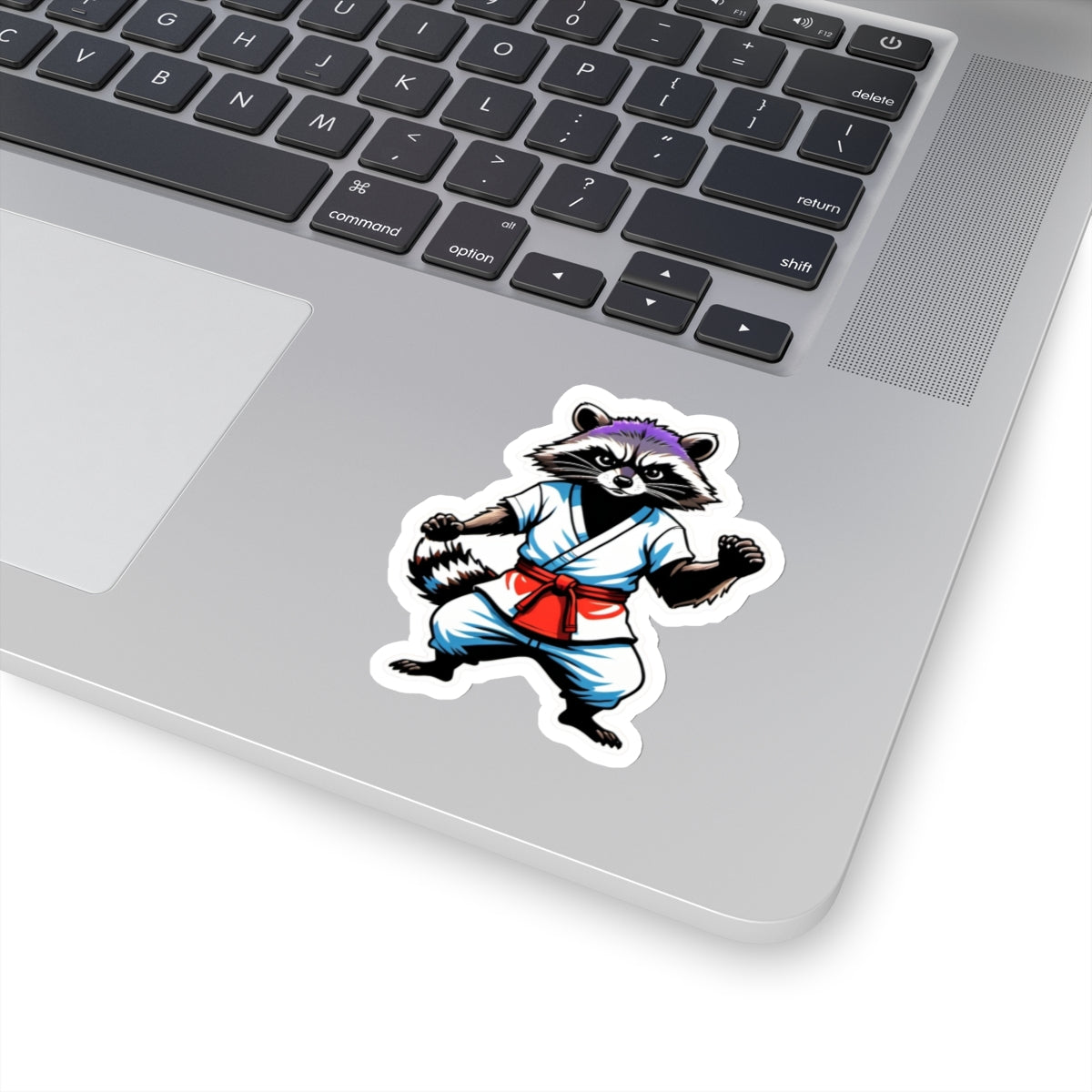 Angry Raccoon Karate  4 - Kiss-Cut Stickers