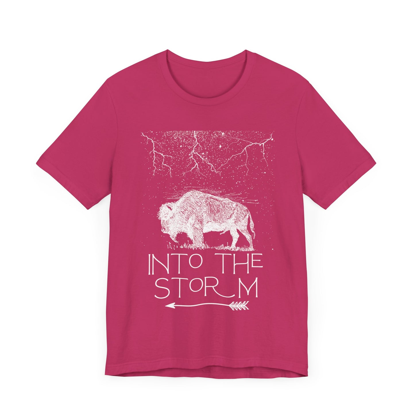 Mental Health - Buffalo Into The Storm T-shirt - Cool Jersey Tee